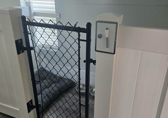 Paws Retreat, dog, cat, boarding, Florida